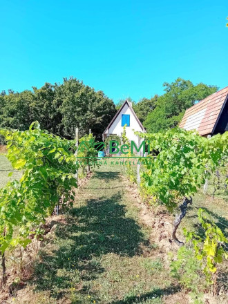 Predaj viničného domu s vinohradom - Čaka (042-12-HEKA) - fotografia 12