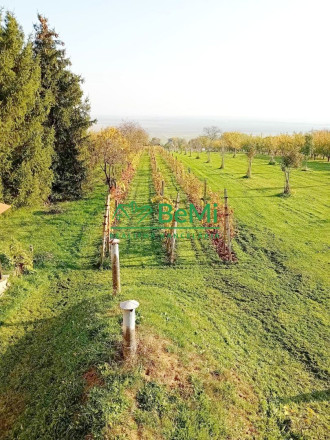 Predaj viničného domu s vinohradom - Čaka (042-12-HEKA) - fotografia 15