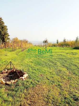 Predaj viničného domu s vinohradom - Čaka (042-12-HEKA) - fotografia 16