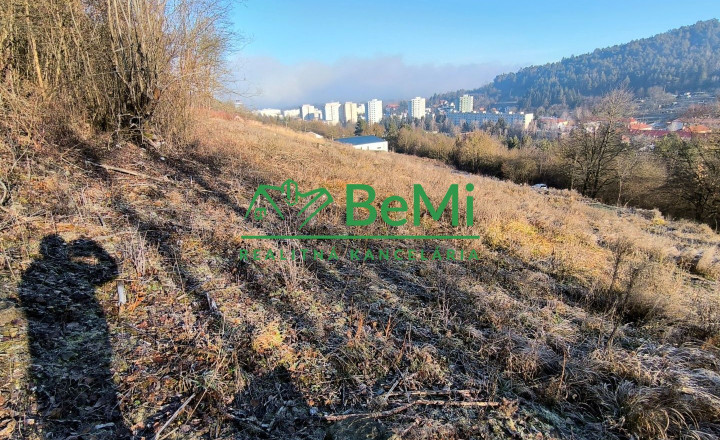 Predaj: Pozemok,3129m2,Považská Bystrica(146-14-PEMOa) - fotografia 6