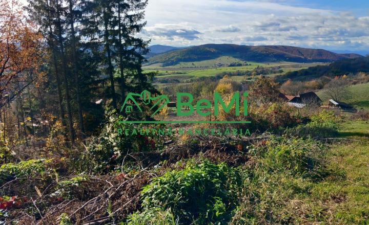 Pozemok pod lesom 1748 m2, Skliarovo - fotografia 1