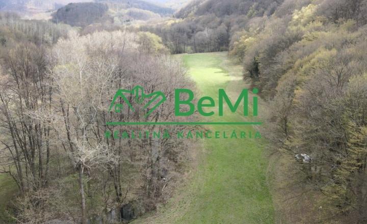 Na predaj lukratívny pozemok na chov rýb - Horná Ves - fotografia 2