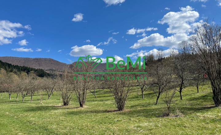 Ponúkame na predaj stavebný pozemok v obci Plevník-Drienové - fotografia 6