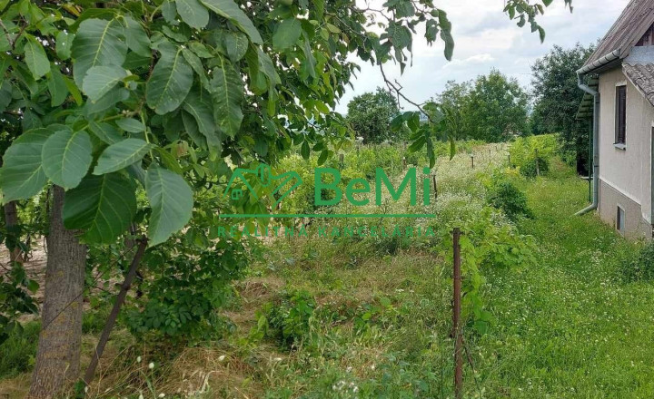 Predaj vinica podiel 1/4 Čechynce pri Nitre, (180-13-ERF)