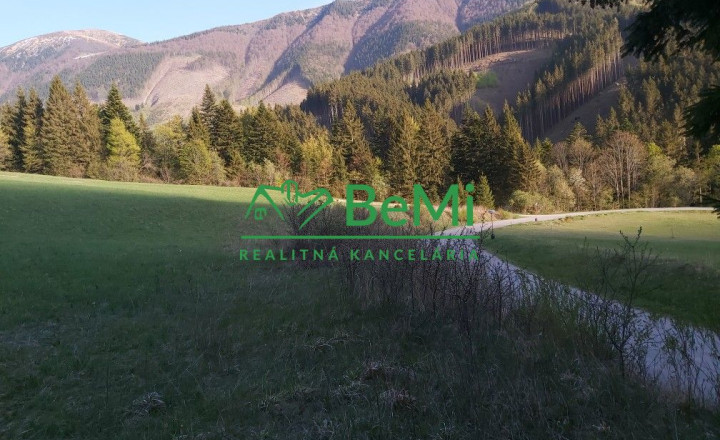 Predaj: Pozemok, 3383m2, Terchová (037-14-BOCa) - fotografia 1