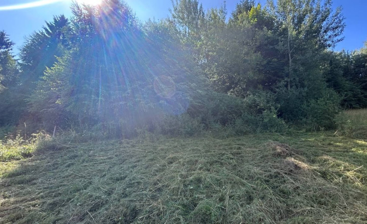 Na predaj pozemok – orná pôda v Hriňová – časť Slanec - fotografia 1