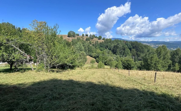 Na predaj pozemok – orná pôda v Hriňová – časť Slanec - fotografia 3