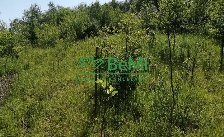 Predaj: Rodinný dom,118m2, pozemok 4223m2, Čadca-Podzavoz (125-12-MACHa) - fotografia 31