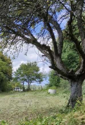 Pozemok na Tehelnej ulici na predaj - fotografia 3
