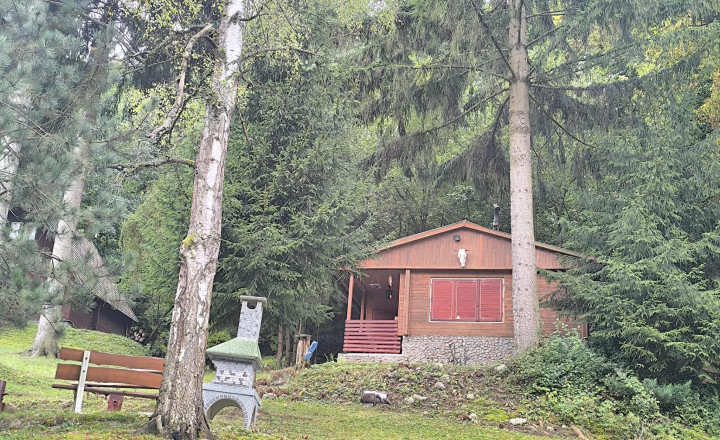 Rekreačná chata s veľkým pozemkom v lese - fotografia 4