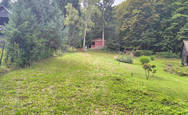 Rekreačná chata s veľkým pozemkom v lese - fotografia 7
