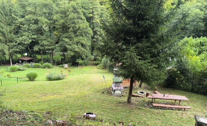 Rekreačná chata s veľkým pozemkom v lese - fotografia 5