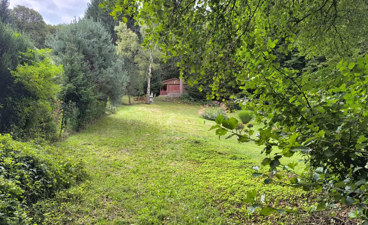 Rekreačná chata s veľkým pozemkom v lese - fotografia 1