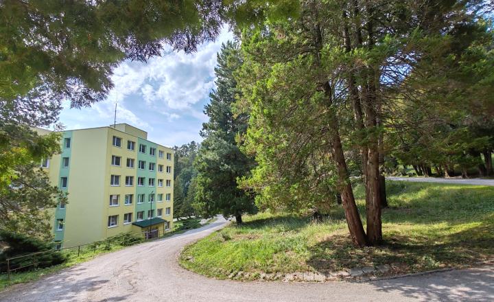 Apartmán s liečivou klímou - fotografia 1