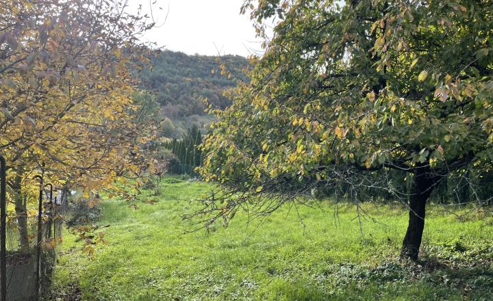 Predaj stavebný pozemok v obci Nitrianske Sučany - fotografia 4
