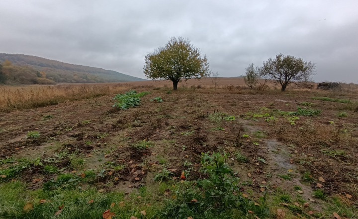 Pozemok 3500 m2 s domom v obci Hernádvecse-39900,-Eur