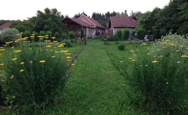 Pozemok 7 400 m² len 19 km od hranice Košíc! - fotografia 4