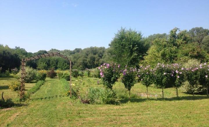 Pozemok 7 400 m² len 19 km od hranice Košíc! - fotografia 6