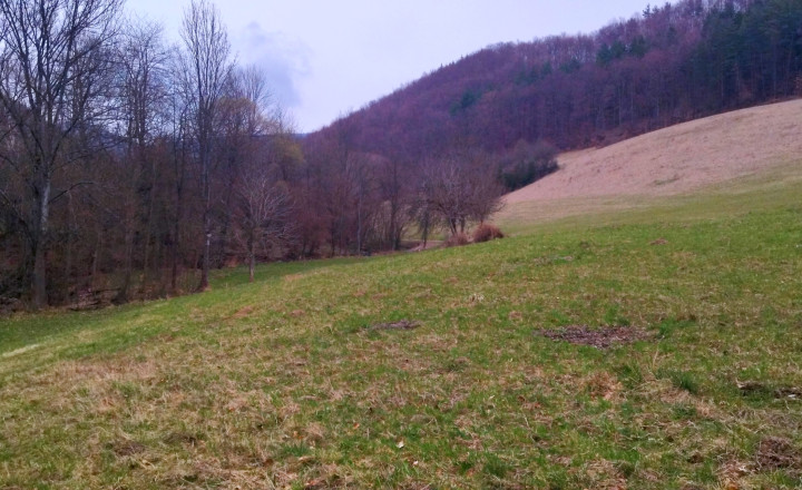 Predaj, pozemok lemovaný potôčikom- Píla (13-14-ZOLAa) - fotografia 1