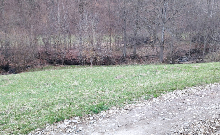 Predaj, pozemok lemovaný potôčikom- Píla (13-14-ZOLAa) - fotografia 3