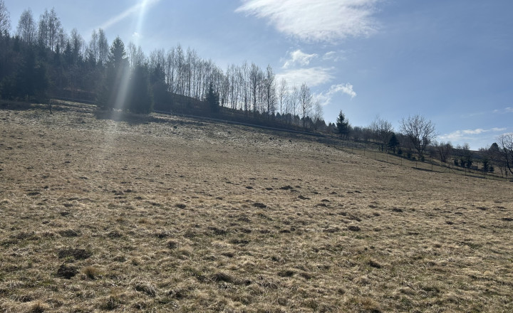 Na predaj stavebný pozemok 1773 m², Hriňová