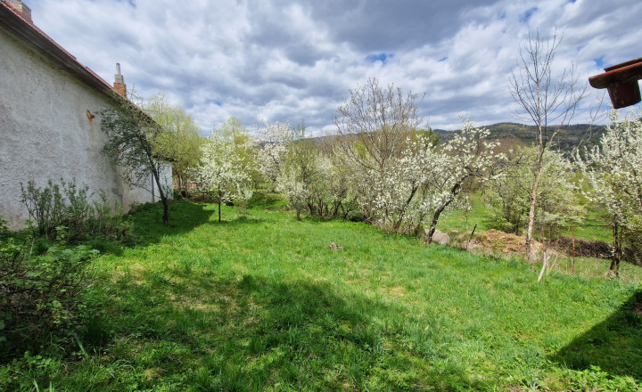 V Ý H O D N E NA PREDAJ DOM V REJDOVEJ ZA 75900,-Eur -PREDAJ - fotografia 19