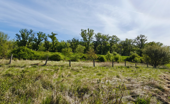 Stavebný pozemok - Vlčany okr.Šaľa 800M2 (027-14-JANS)