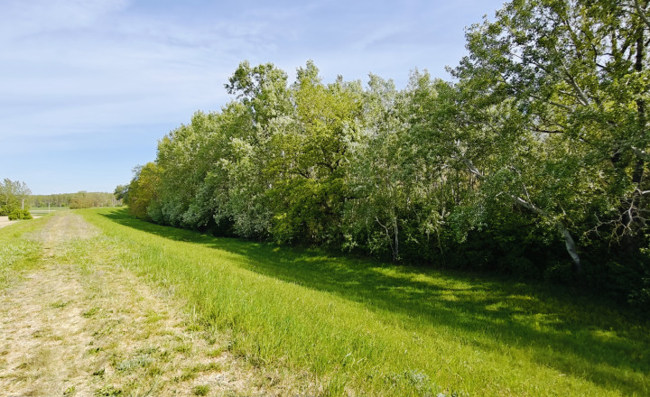 Stavebný pozemok - Vlčany okr.Šaľa 800M2 (027-14-JANS) - fotografia 4