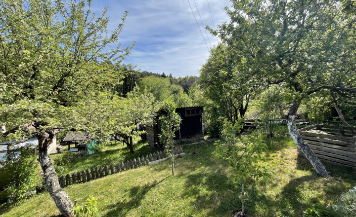 Predaj záhrady v sade 600 ročnice (031-13-ZUPIa)