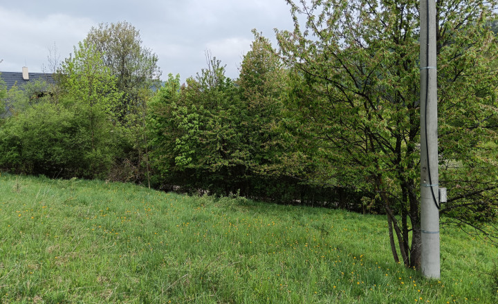 Predaj: Investičný pozemok, 1112m2, Terchová (260-14-MACH) - fotografia 1