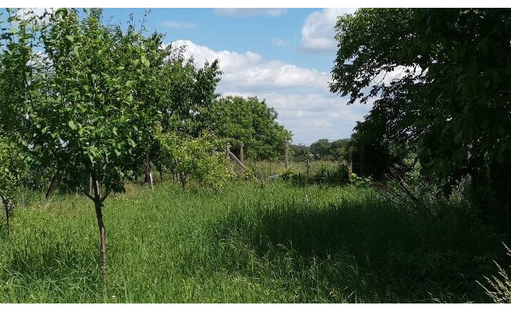Predaj, stavebný pozemok - Šahy / Tešmák (022-14-MIMI)