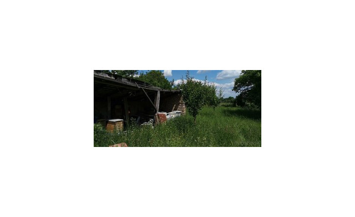 Predaj, stavebný pozemok - Šahy / Tešmák (022-14-MIMI) - fotografia 1
