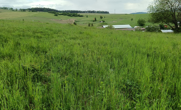 Predaj: Investičný pozemok, 2917m2, Brezany (263-14-MACH). - fotografia 1