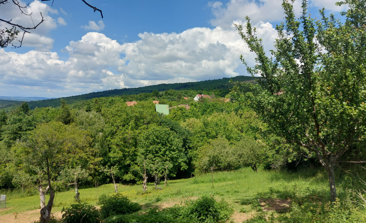 Predaj 5 izbový  rodinný dom Nitra-Zobor (249-12-JUF) - fotografia 30
