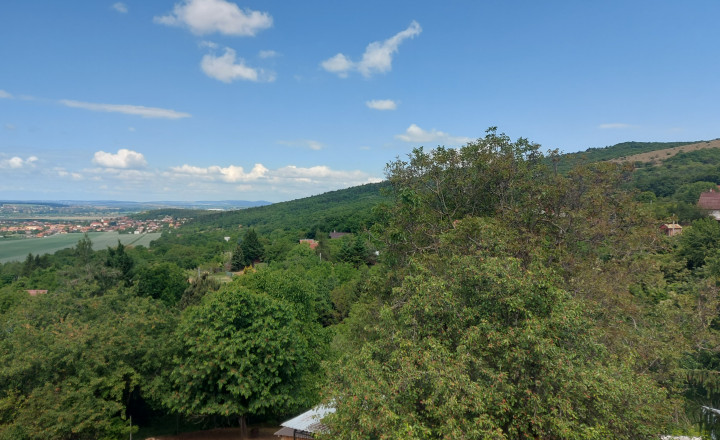 Predaj 5 izbový  rodinný dom Nitra-Zobor (249-12-JUF) - fotografia 35