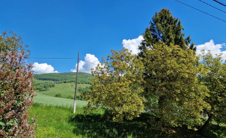 P R E D A N É Rodinný dom v obci Vlachovo-NA PREDAJ - fotografia 14