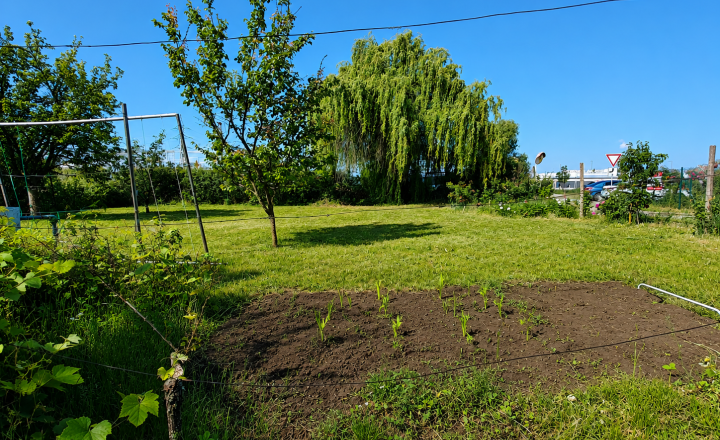 Predaj, záhrada s murovaným domčekom | Levice – Krížny vrch (033-13-SIHA) - fotografia 3