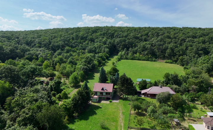 Predaj - Strelnica s poľovníckou chatou v okrese Hlohovec - fotografia 19