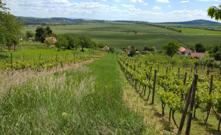 Exkluzívny rekreačný pozemok - Kozárovce (028-14-MIMI) - fotografia 1