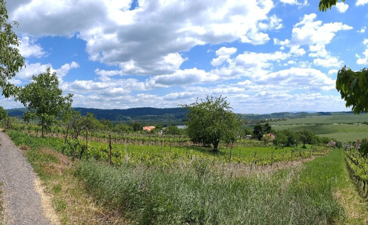 Exkluzívny rekreačný pozemok - Kozárovce (028-14-MIMI) - fotografia 3