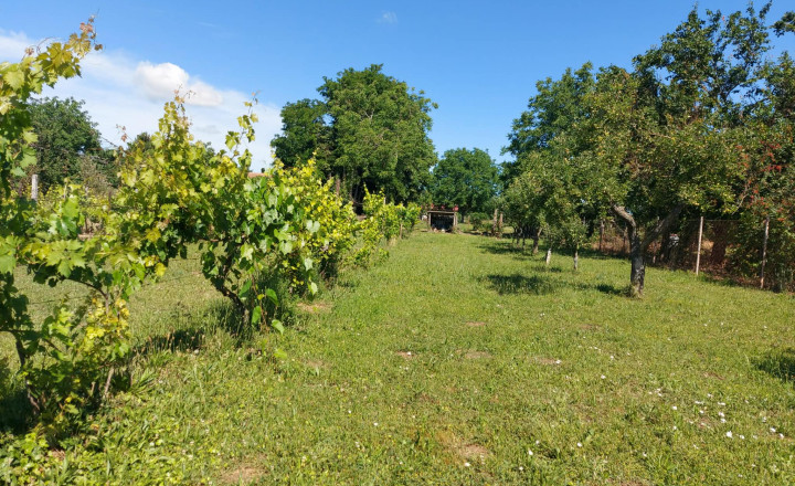 Rezervované! Predaj stavebný pozemok  Štefanovičová pri Nitre(252-14-JUF)