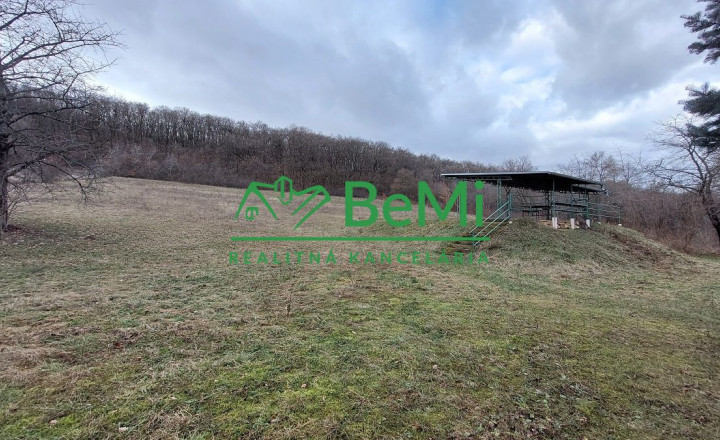 Na predaj Strelnica s poľovníckou chatou v okrese Hlohovec - fotografia 24