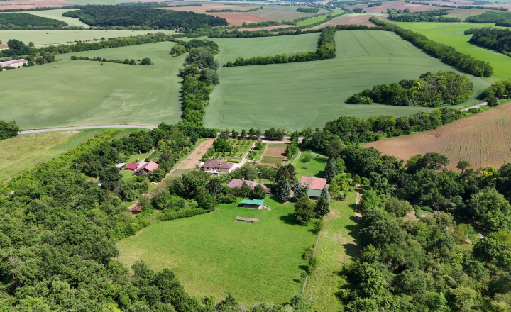 Na predaj Strelnica s poľovníckou chatou v okrese Hlohovec - fotografia 37