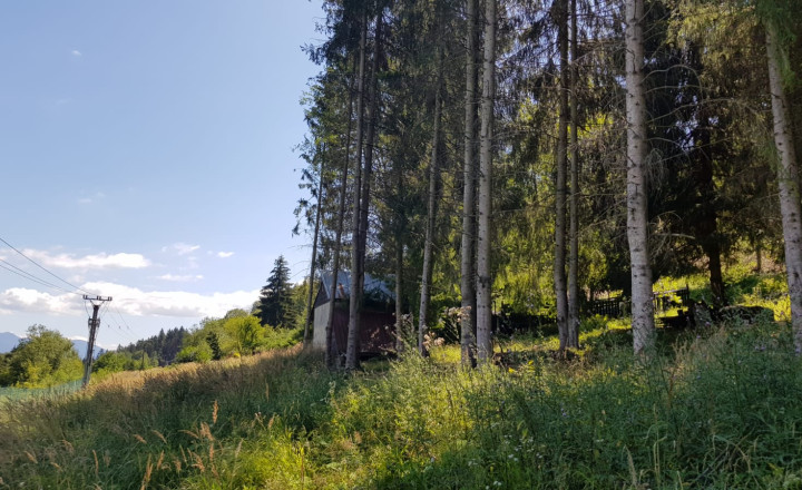 Predaj: Rekr. pozemok Stražov, 2770m2, Žilina (266-14-MACH) - fotografia 6