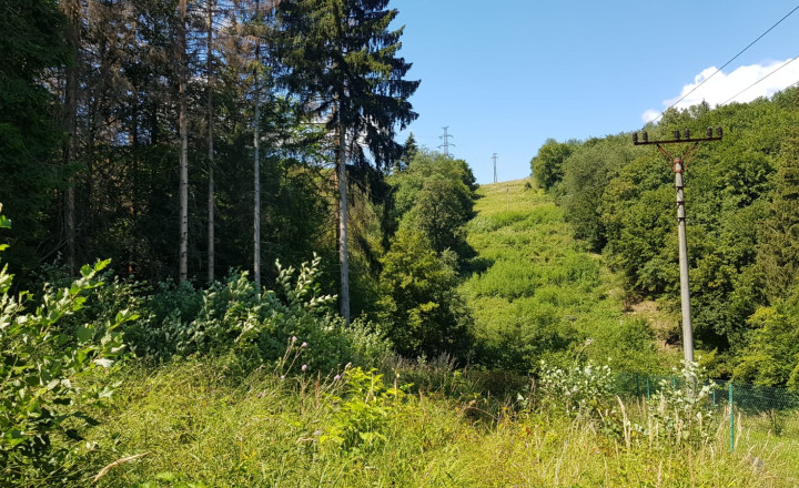 Predaj: Rekr. pozemok Stražov, 2770m2, Žilina (266-14-MACH) - fotografia 4