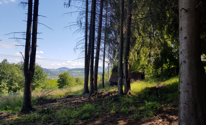 Predaj: Rekr. pozemok Stražov, 2770m2, Žilina (266-14-MACH) - fotografia 8