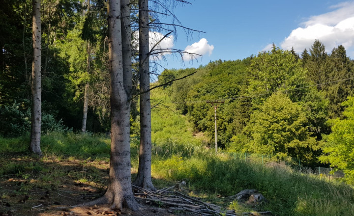 Predaj: Rekr. pozemok Stražov, 2770m2, Žilina (266-14-MACH) - fotografia 5