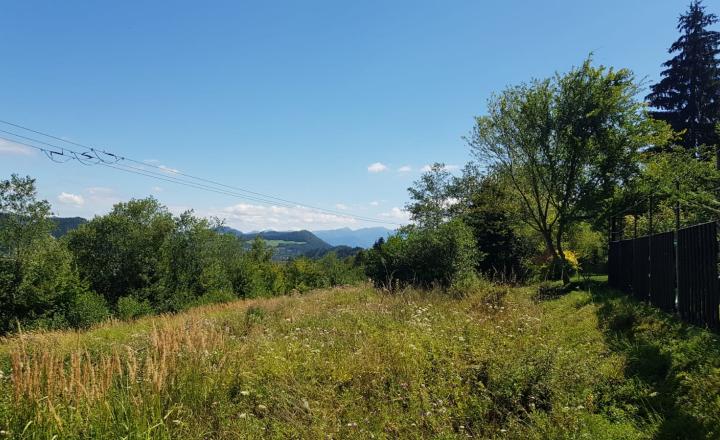 Predaj: Rekr. pozemok Stražov, 2770m2, Žilina (266-14-MACH) - fotografia 3