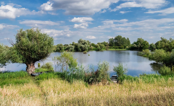 STAVEBNÝ POZEMOK S PRÁVOPLATNÝM STAVEBNÝM POVOLENÍM A PROJEKTOM – MARTOVCE id044-14-evba - fotografia 11