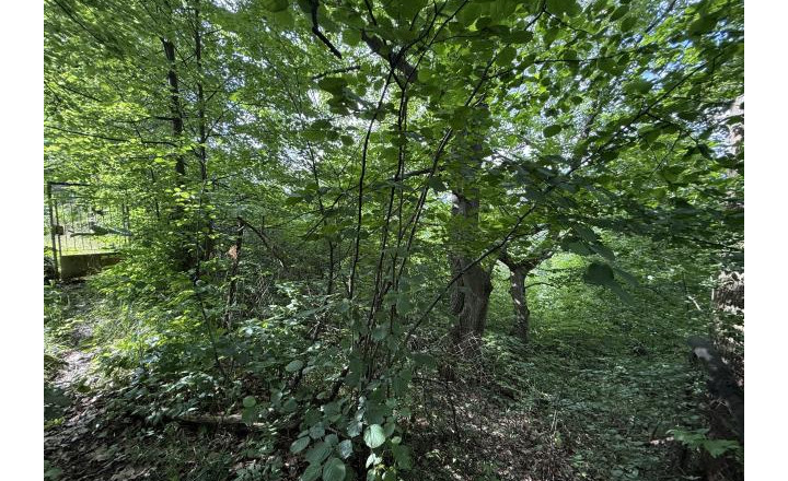 Záhrada na predaj, lokalita Kalvária - fotografia 6